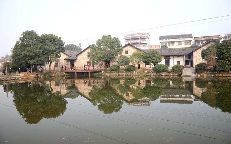 我校机关各党支部开展主题党日活动 我校机关各党支部开展主题党日活动