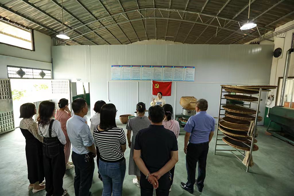 采茶助农正当时 主题党日暖人心 采茶助农正当时 主题党日暖人心